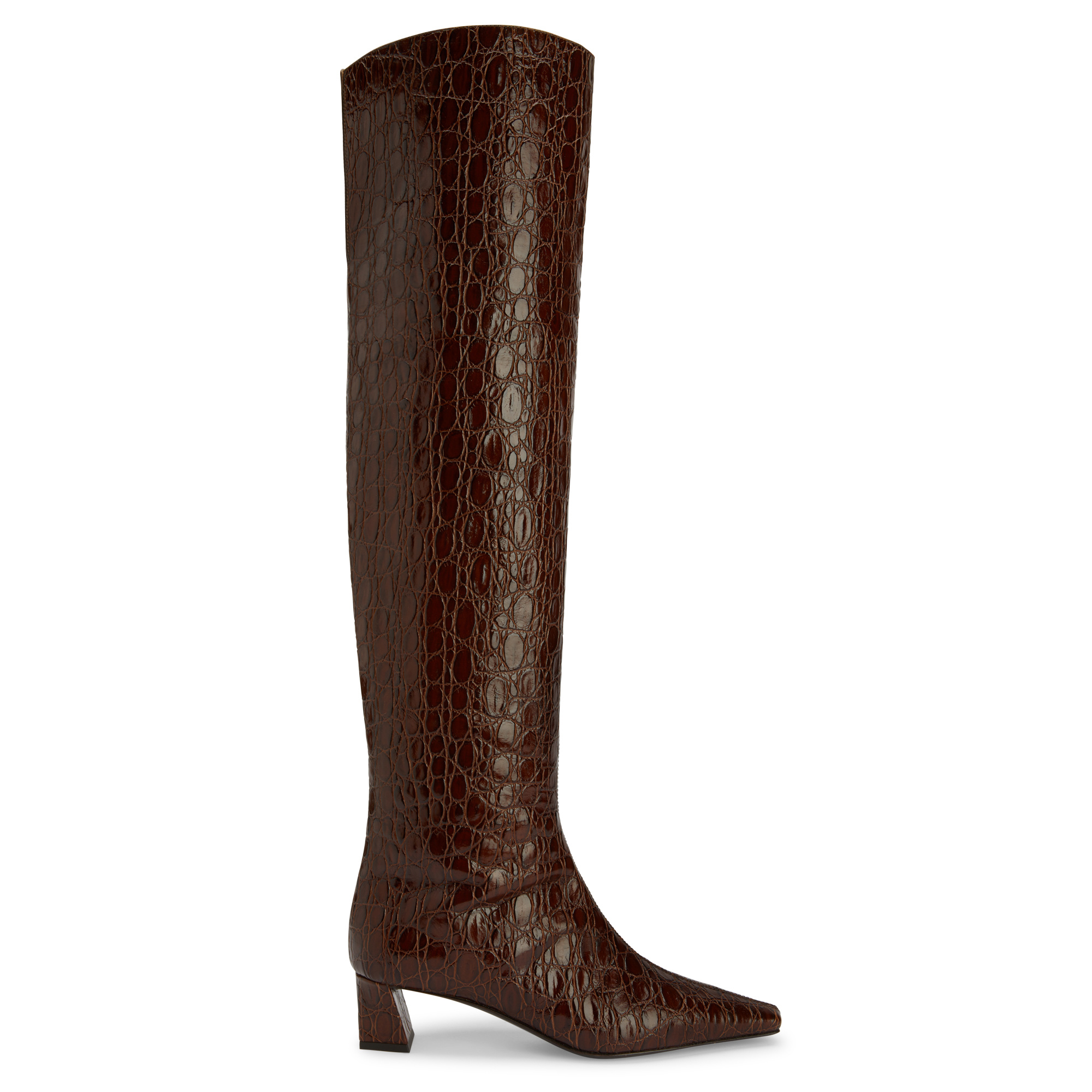 Giuseppe Zanotti 45mm Janiee Plus Boots In Brown